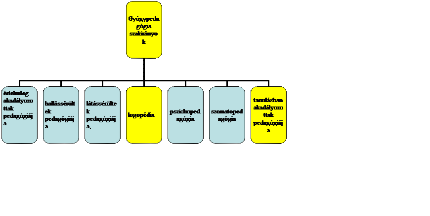 Szervezeti diagram