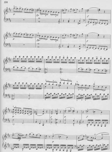 sonata_d_peters.jpg