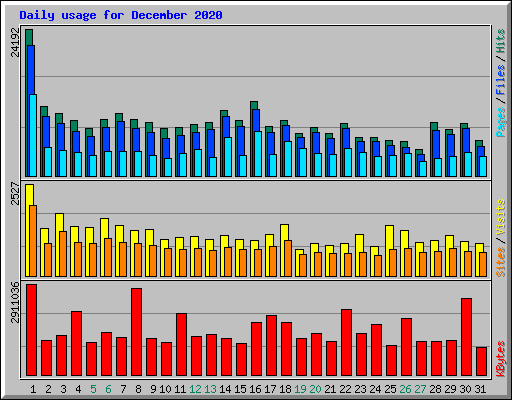 Daily usage for December 2020