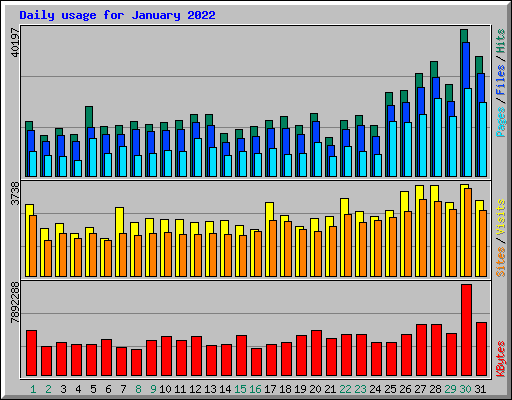 Daily usage for January 2022