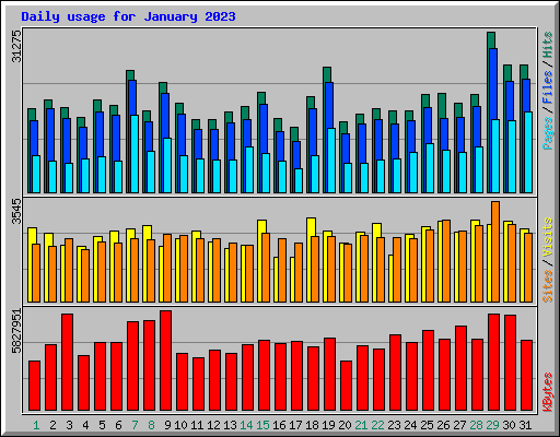 Daily usage for January 2023