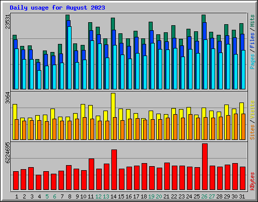 Daily usage for August 2023
