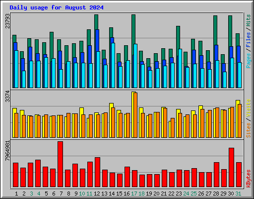 Daily usage for August 2024