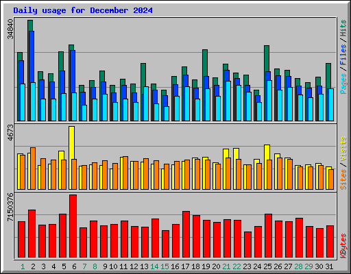 Daily usage for December 2024