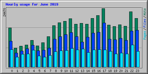 Hourly usage for June 2019