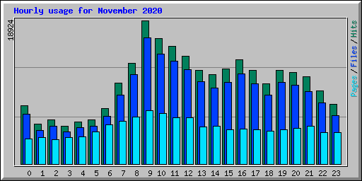 Hourly usage for November 2020