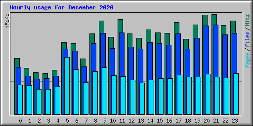 Hourly usage for December 2020