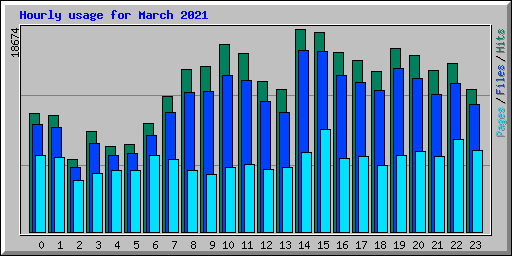 Hourly usage for March 2021