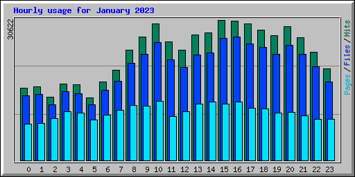 Hourly usage for January 2023