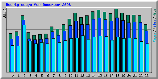 Hourly usage for December 2023