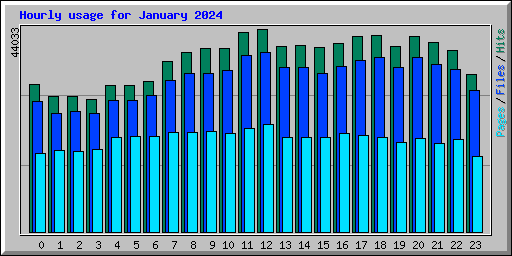 Hourly usage for January 2024