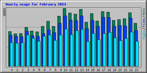 Hourly usage for February 2024