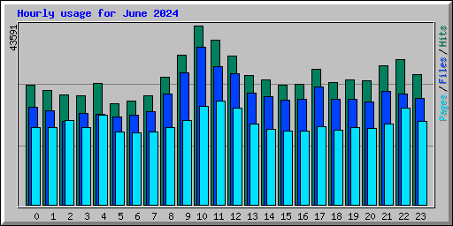Hourly usage for June 2024