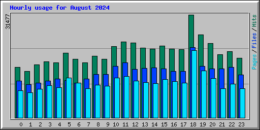 Hourly usage for August 2024