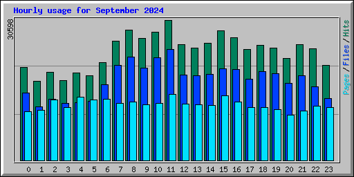 Hourly usage for September 2024