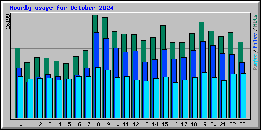 Hourly usage for October 2024