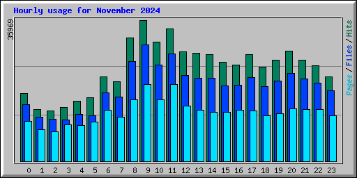 Hourly usage for November 2024