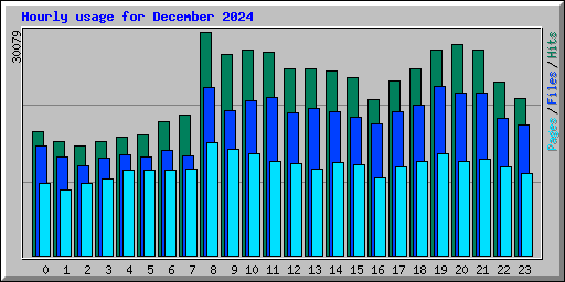 Hourly usage for December 2024