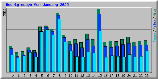 Hourly usage for January 2025